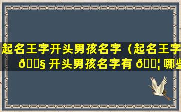 起名王字开头男孩名字（起名王字 🐧 开头男孩名字有 🐦 哪些）